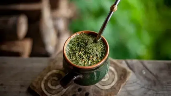 A origem da erva-mate (ka’a)