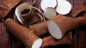 A origem da mandioca, planta sagrada Tupi/Guarani